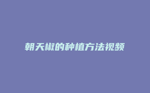 朝天椒的种植方法视频