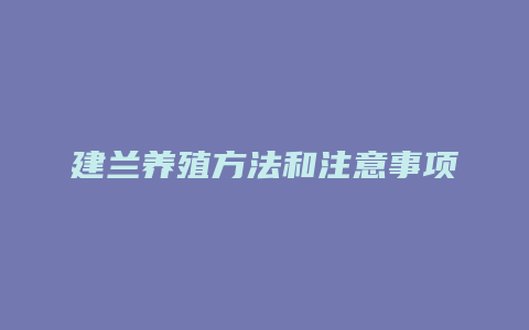 建兰养殖方法和注意事项