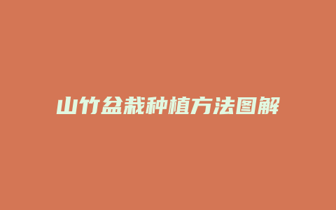 山竹盆栽种植方法图解