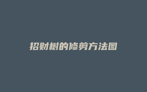 招财树的修剪方法图