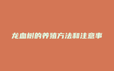 龙血树的养殖方法和注意事项施肥