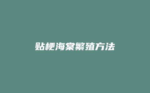 贴梗海棠繁殖方法