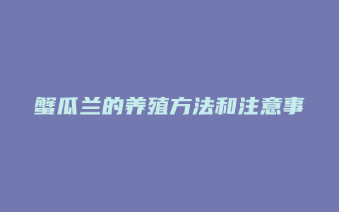 蟹瓜兰的养殖方法和注意事项