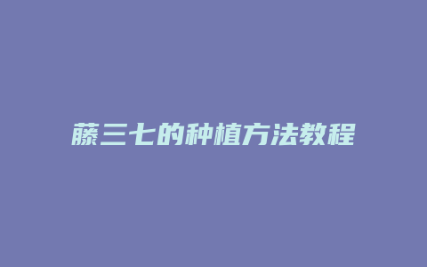 藤三七的种植方法教程