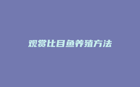 观赏比目鱼养殖方法