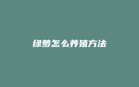 绿萝怎么养殖方法