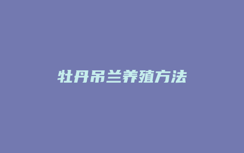 牡丹吊兰养殖方法