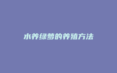 水养绿萝的养殖方法