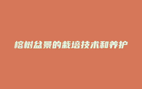 榕树盆景的栽培技术和养护方法