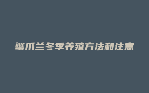 蟹爪兰冬季养殖方法和注意事项