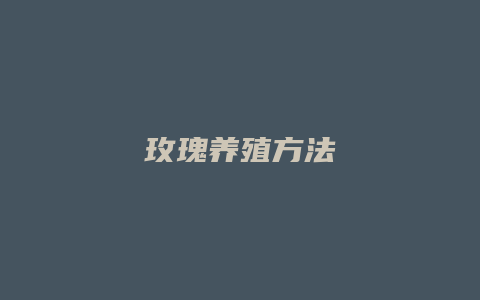 玫瑰养殖方法