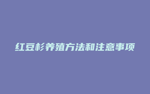 红豆杉养殖方法和注意事项