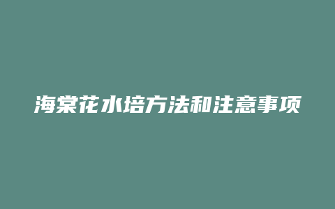 海棠花水培方法和注意事项