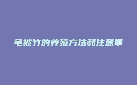 龟被竹的养殖方法和注意事项有