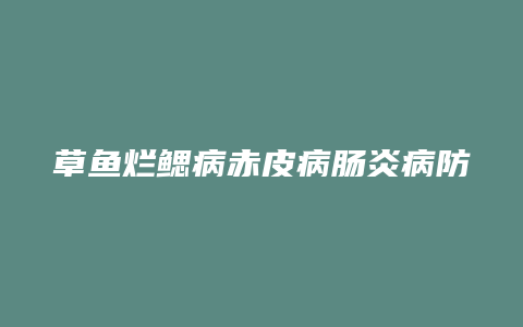 草鱼烂鳃病赤皮病肠炎病防治方法