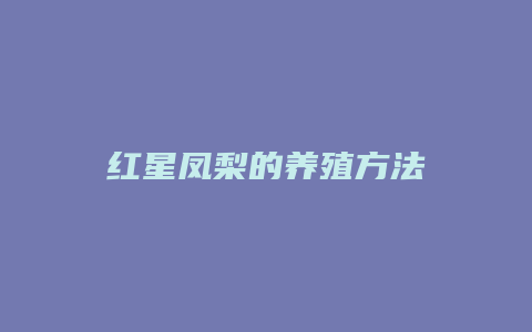 红星凤梨的养殖方法