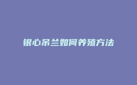 银心吊兰如何养殖方法