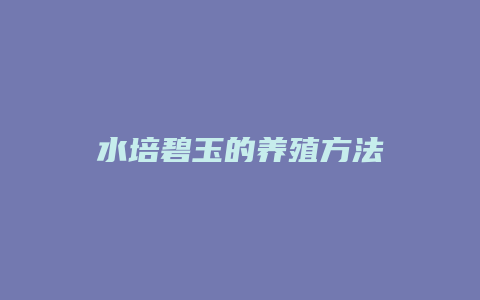 水培碧玉的养殖方法