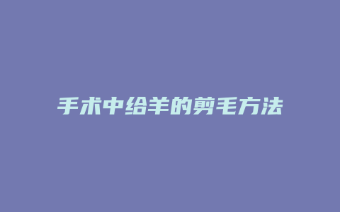 手术中给羊的剪毛方法