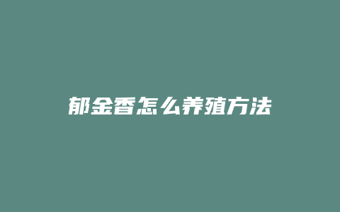 郁金香怎么养殖方法