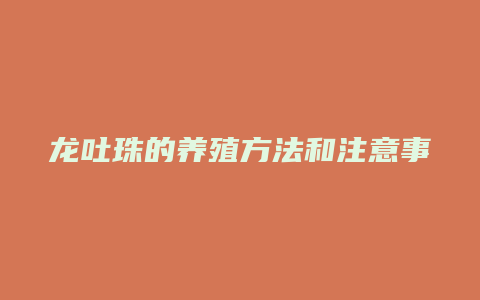 龙吐珠的养殖方法和注意事项