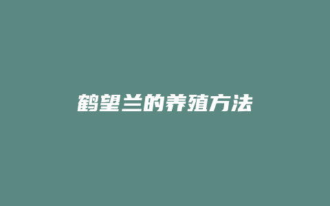 鹤望兰的养殖方法