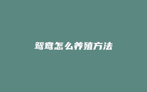 鸳鸯怎么养殖方法