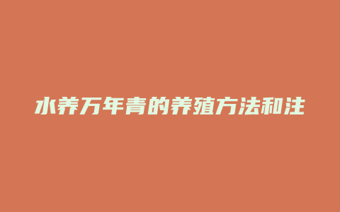 水养万年青的养殖方法和注意事项