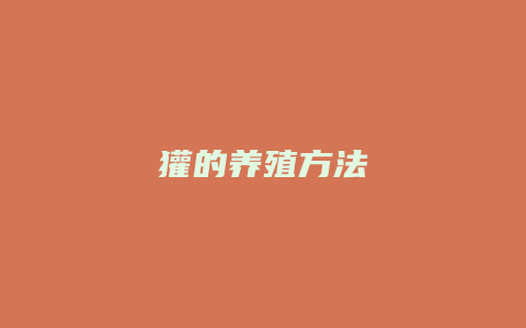 獾的养殖方法