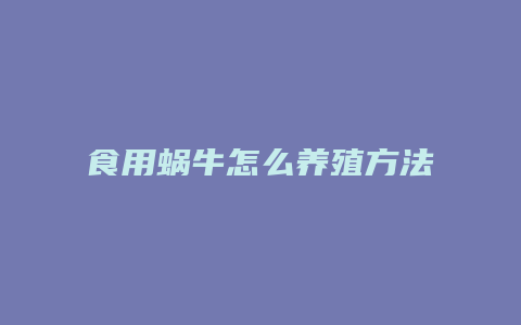 食用蜗牛怎么养殖方法