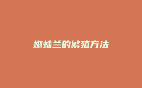 蜘蛛兰的繁殖方法