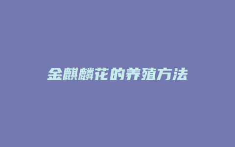 金麒麟花的养殖方法