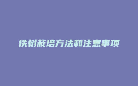 铁树栽培方法和注意事项