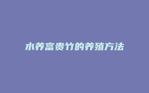 水养富贵竹的养殖方法