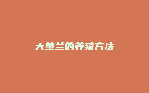 大蕙兰的养殖方法