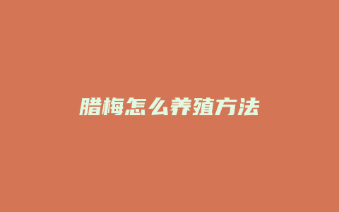 腊梅怎么养殖方法