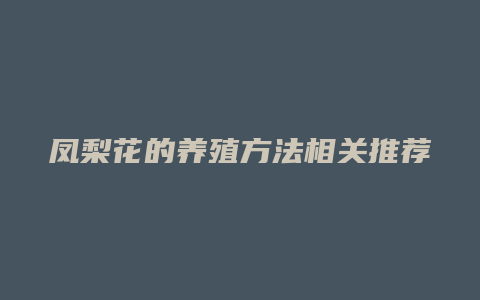 凤梨花的养殖方法相关推荐