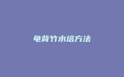 龟背竹水培方法