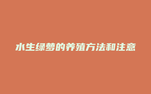 水生绿萝的养殖方法和注意事项