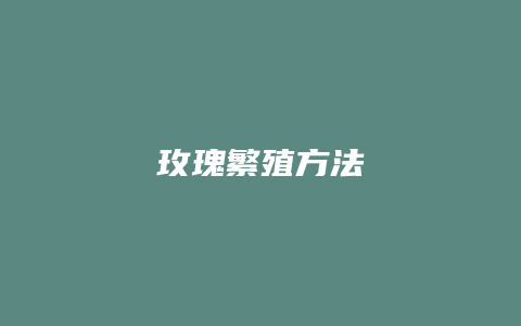 玫瑰繁殖方法