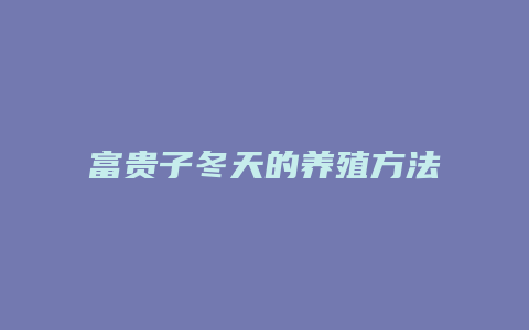 富贵子冬天的养殖方法