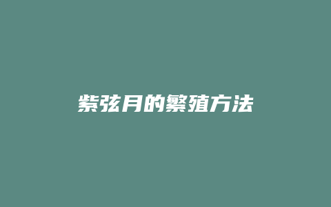 紫弦月的繁殖方法