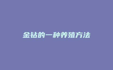 金钻的一种养殖方法