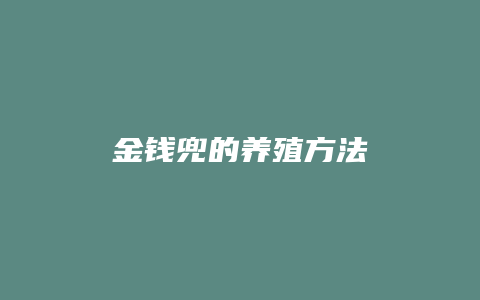 金钱兜的养殖方法