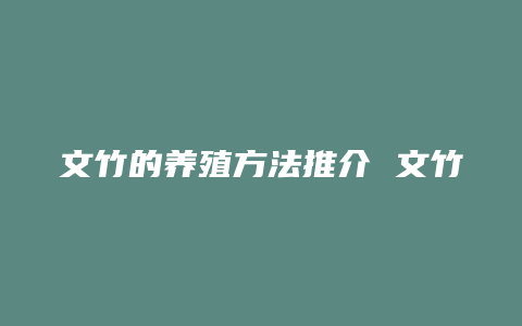 文竹的养殖方法推介 文竹养殖的知识大全