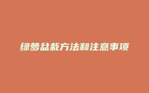 绿萝盆栽方法和注意事项