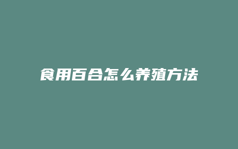 食用百合怎么养殖方法