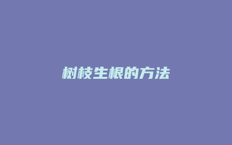 树枝生根的方法