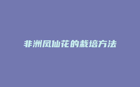 非洲凤仙花的栽培方法