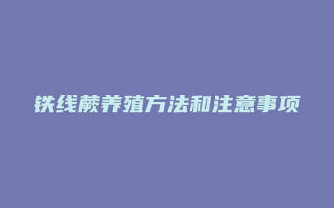 铁线蕨养殖方法和注意事项